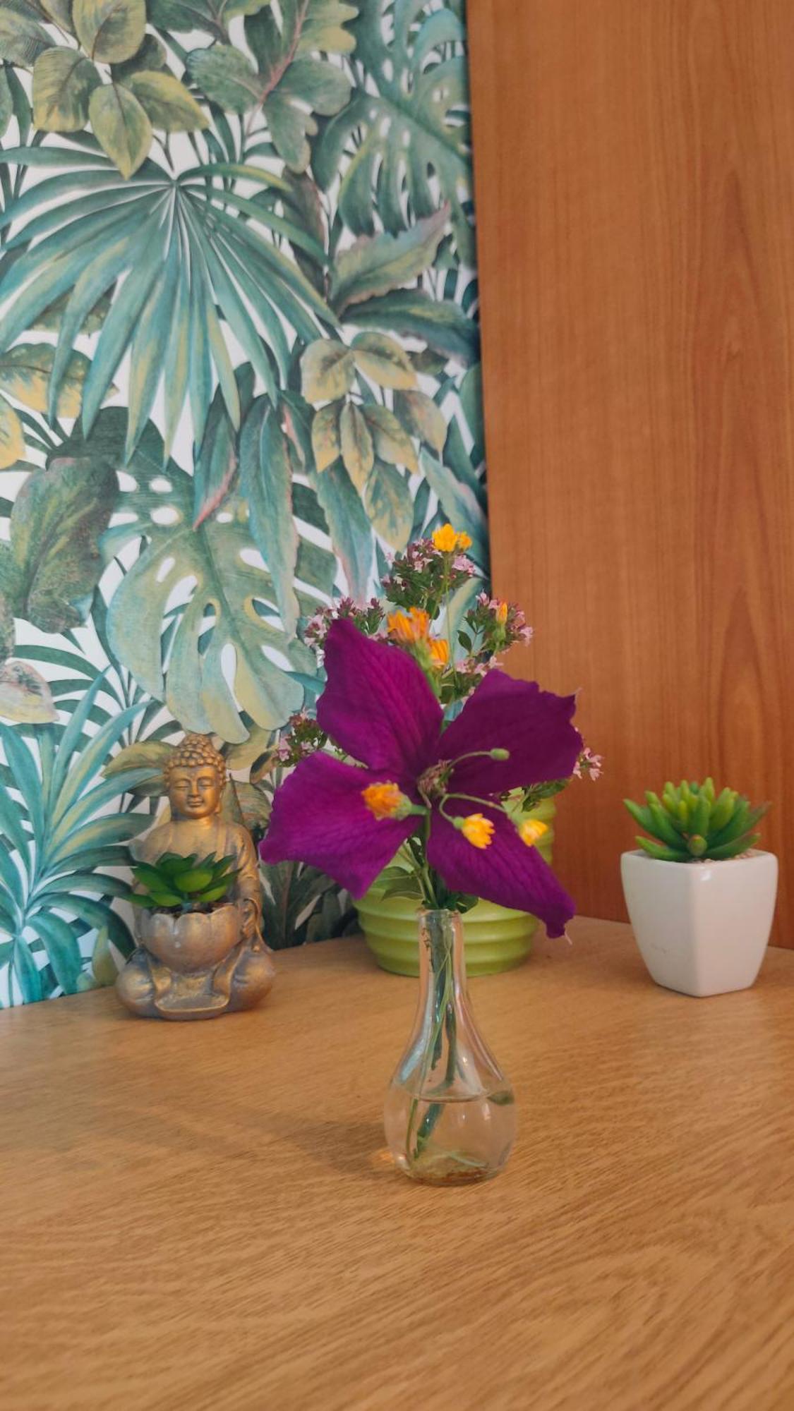 single or doubleroom homestay Kassel Lohfelden Værelse billede